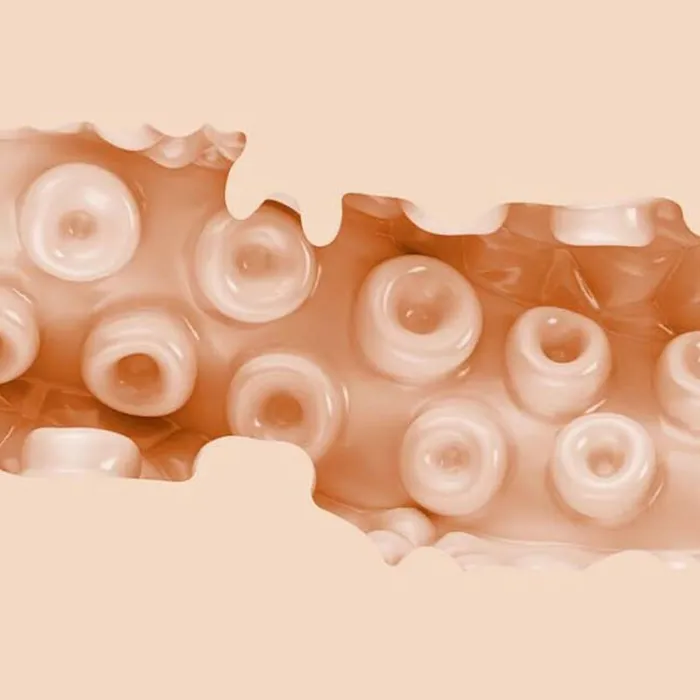 Fleshlight Male Sex Toys FLESHLIGHT FANTASY SASHA NAKAMOTO VAGINA