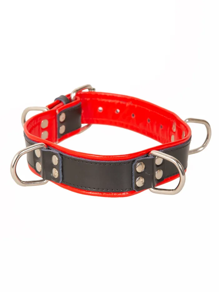 Restraints Black And Red Leather Four D Ring Collar HonourSkintwocom