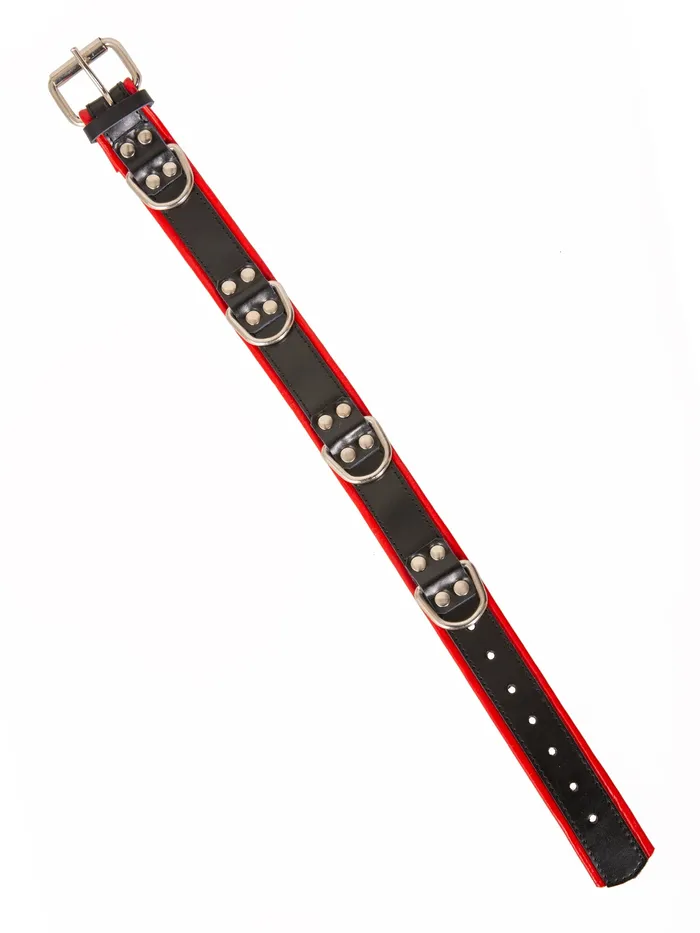 Restraints Black And Red Leather Four D Ring Collar HonourSkintwocom