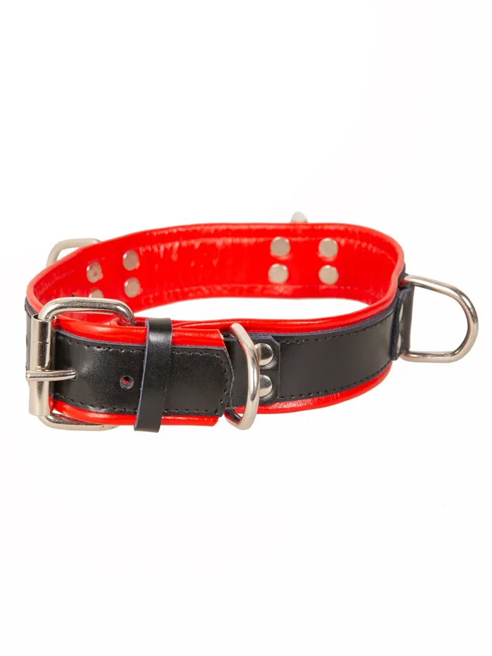 Restraints Black And Red Leather Four D Ring Collar HonourSkintwocom