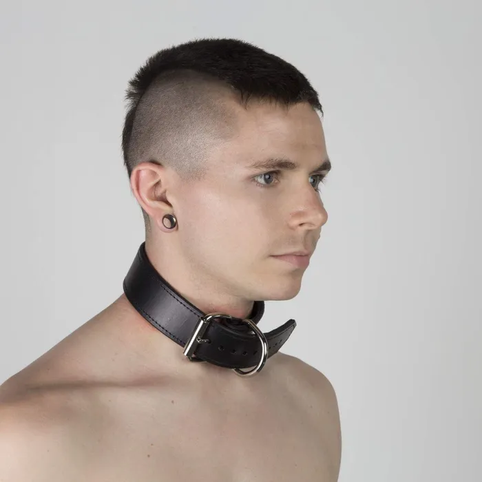 Scruff Collar Leather REGULATION Restraints