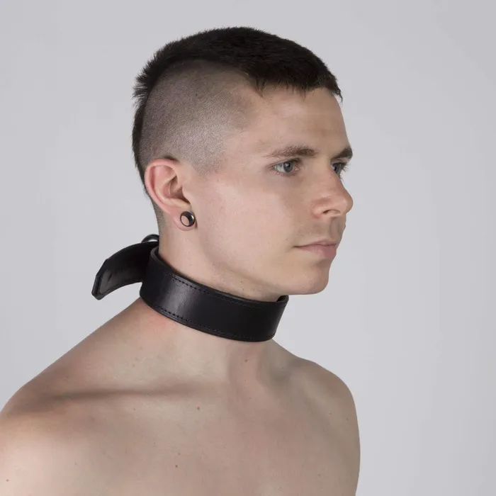 Scruff Collar Leather REGULATION Restraints