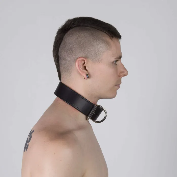 Scruff Collar Leather REGULATION Restraints