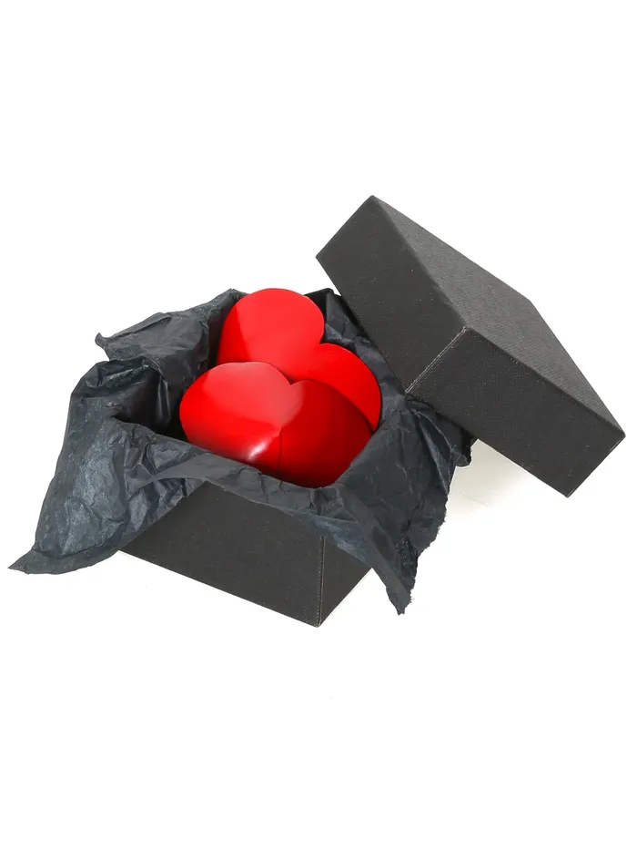 Vibrators HonourSkintwocom Latex Red Heart Pasties One Size