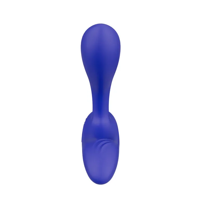 WeVibe WeVibe Vector Vibrating Prostate Massager Royal Blue Anal