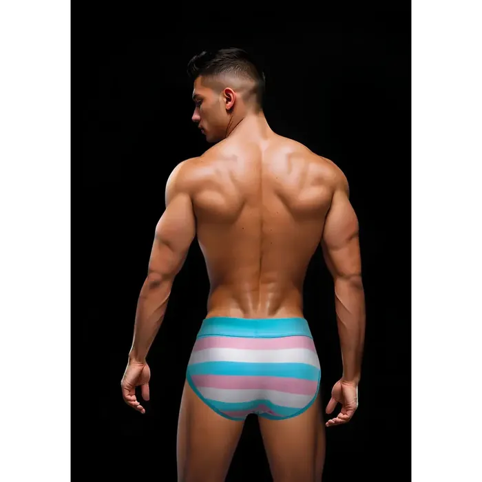 XGen Products Female Sex Toys Envy Rainbow Pride Brief