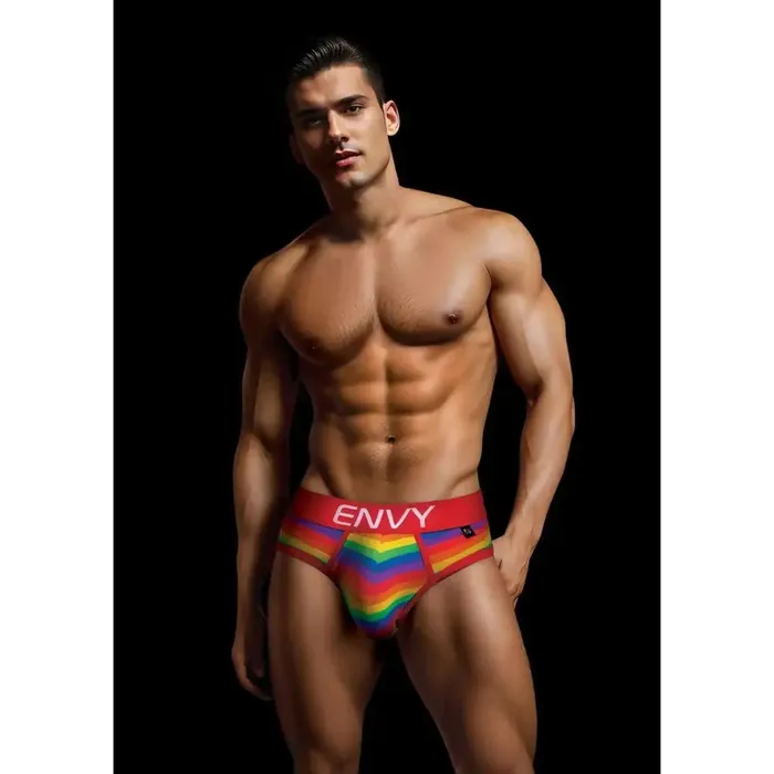 XGen Products Female Sex Toys Envy Rainbow Pride Brief