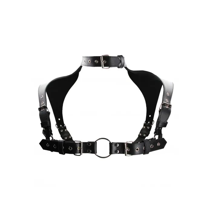 Shots Toys Female Sex Toys Shots UOMO Leather Mens Harness with Collar Black