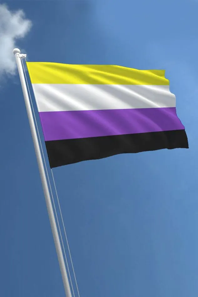 Stag Shop Vibrators Stag Shop Pride Flag Non Binary 3 x 5