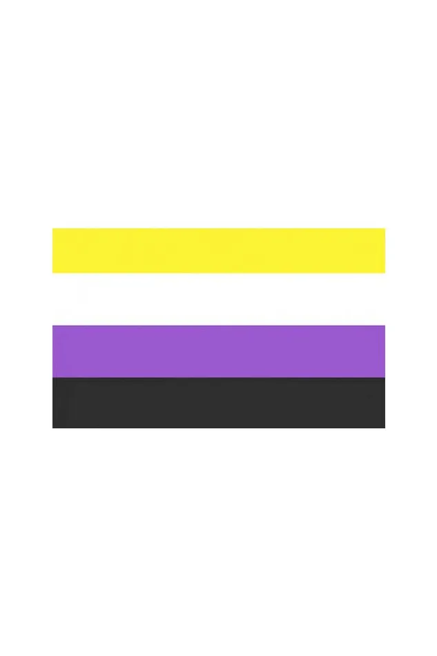 Stag Shop Vibrators Stag Shop Pride Flag Non Binary 3 x 5