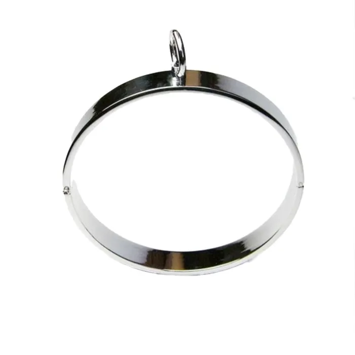 Lovegasm Unisex Stainless Eternity Collar Metallic Vibrators