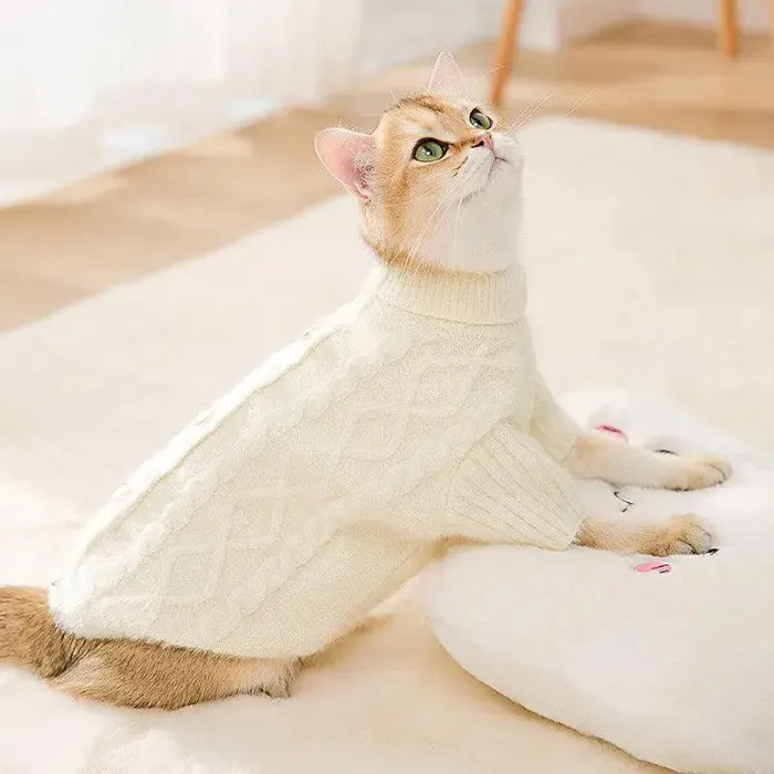 cj Vibrators Knit Sweater Kitty Autumn And Winter Warm Twolegged Clothes