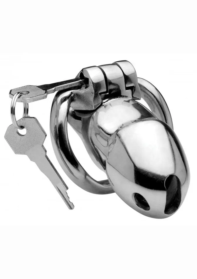 Male Sex Toys Master Series Master Series Rikers 247 Stainless Steel Locking Chastity Cage Male Sex Toys Master Series Master Series Rikers 247 Stainless Steel Locking Chastity Cage