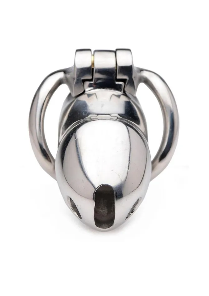 Male Sex Toys Master Series Master Series Rikers 247 Stainless Steel Locking Chastity Cage