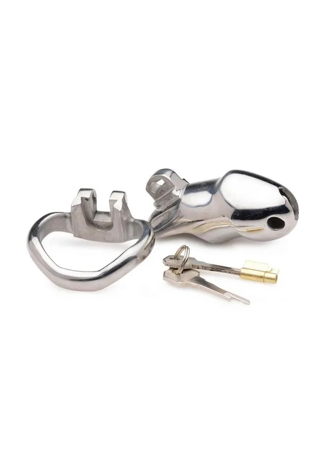 Male Sex Toys Master Series Master Series Rikers 247 Stainless Steel Locking Chastity Cage