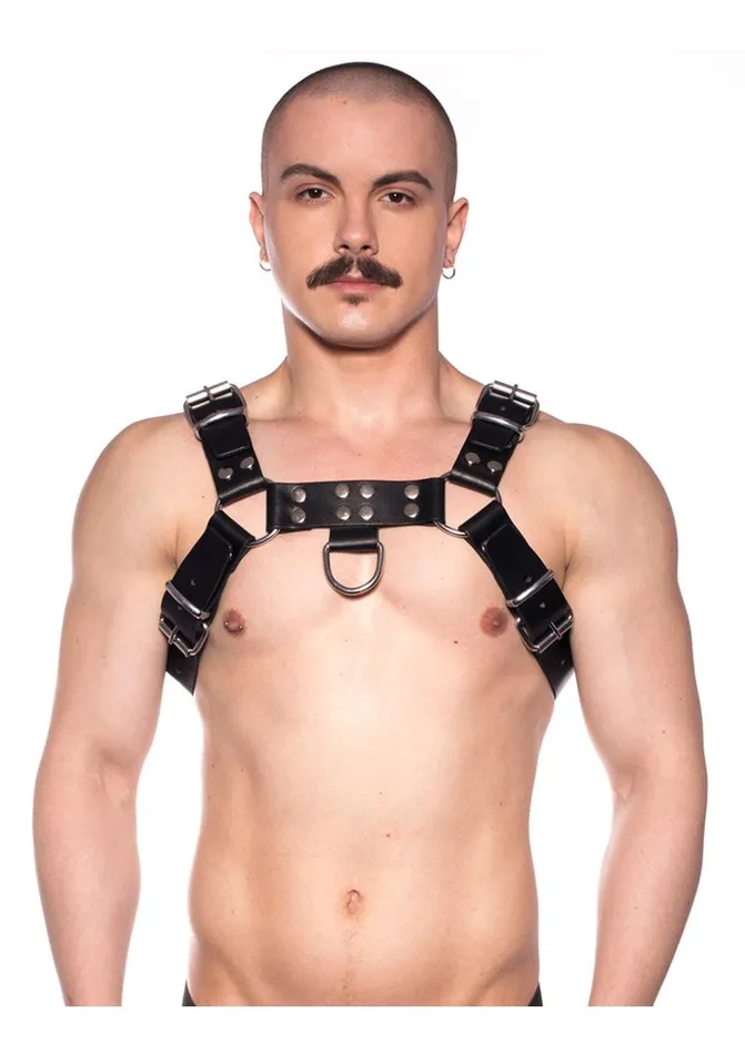 Prowler RED Vibrators Prowler Red Butch Harness