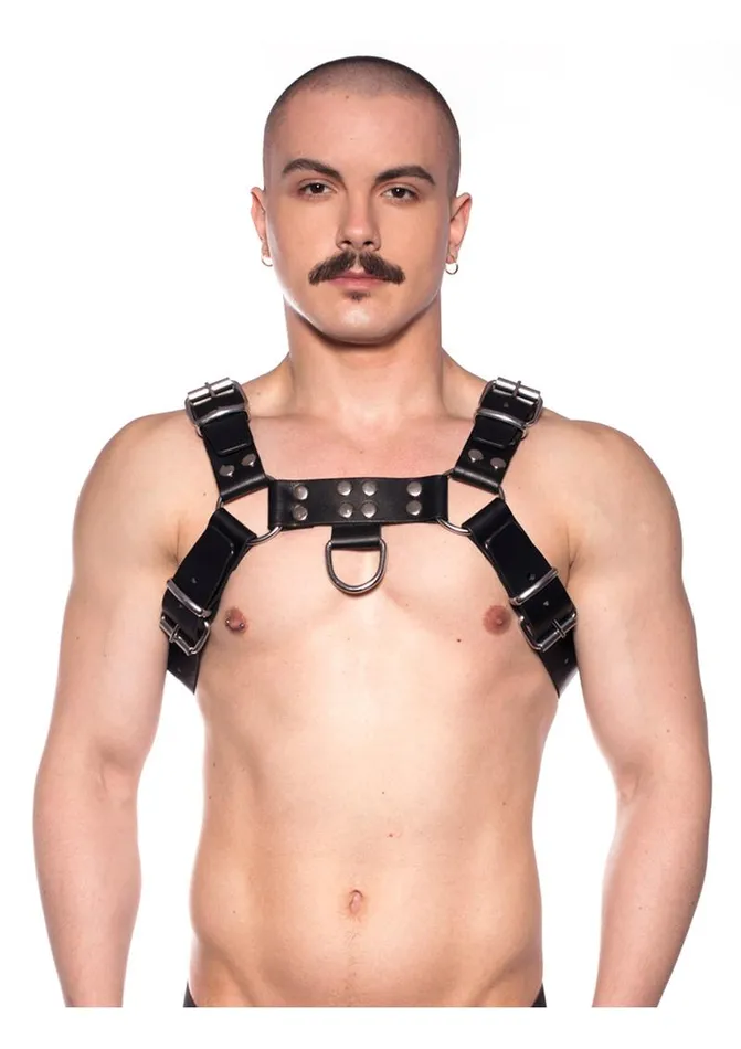 Prowler RED Vibrators Prowler Red Butch Harness