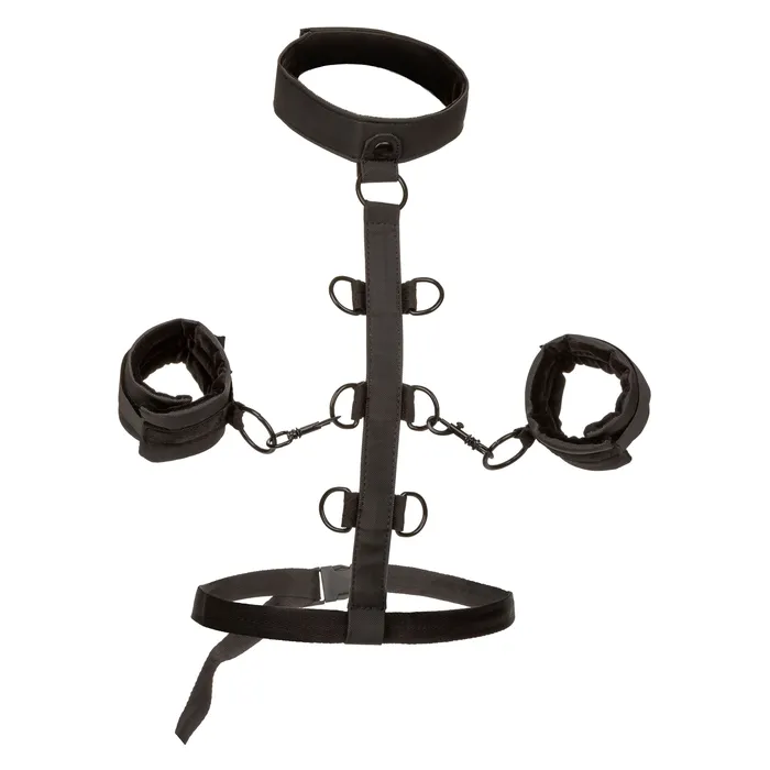 Anal Boundless Collar Body Restraint Black CalExotics