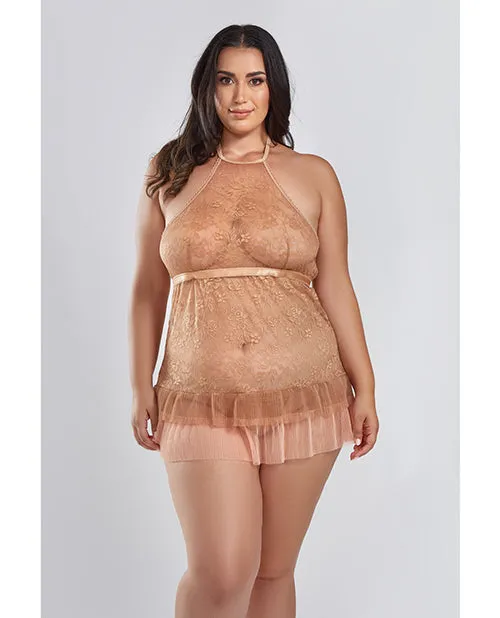 Amber Halter Lace Babydoll wTiered Pleated Mesh Skirt Hem GString Brown 2X Icollection Lingerie Couples Amber Halter Lace Babydoll wTiered Pleated Mesh Skirt Hem GString Brown 2X Icollection Lingerie Couples