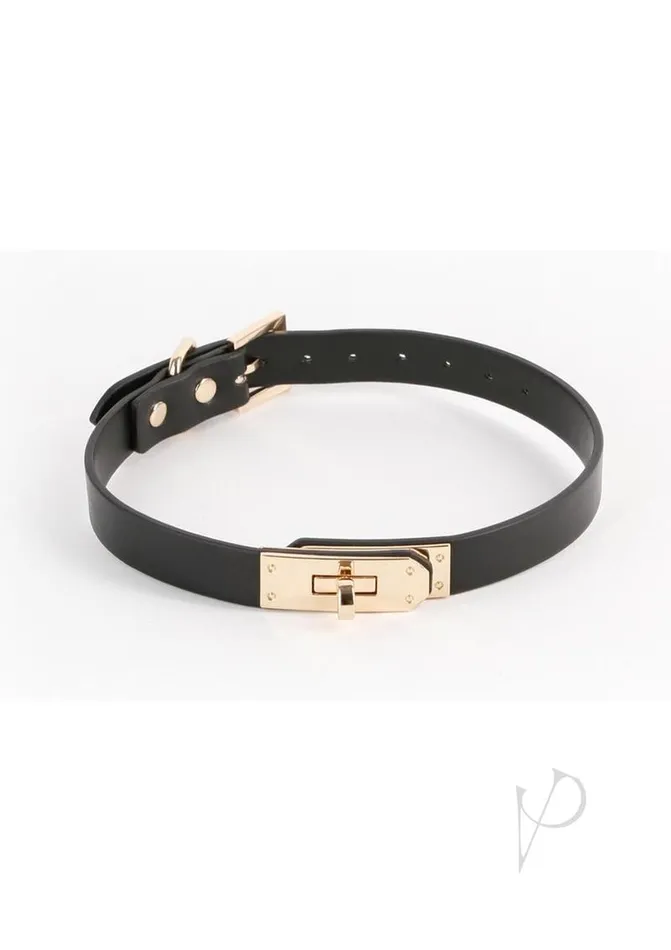 Anal Fetish And Fashion Fetish and Fashion Sadie Collar BlackGold Anal Fetish And Fashion Fetish and Fashion Sadie Collar BlackGold