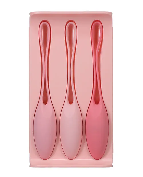 Anal In A Bag In a Bag Kegel Trainer Kit Set of 3 Pink Anal In A Bag In a Bag Kegel Trainer Kit Set of 3 Pink