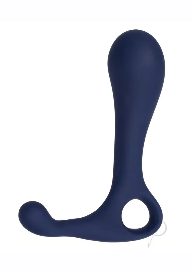 Anal Viceroy Viceroy Direct Silione Probe Blue