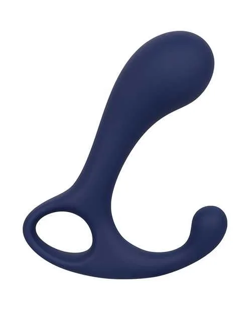 Anal Viceroy Viceroy Direct Silione Probe Blue