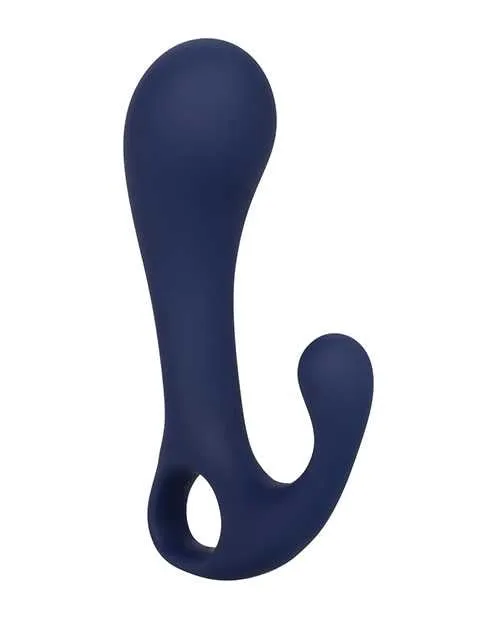 Anal Viceroy Viceroy Direct Silione Probe Blue