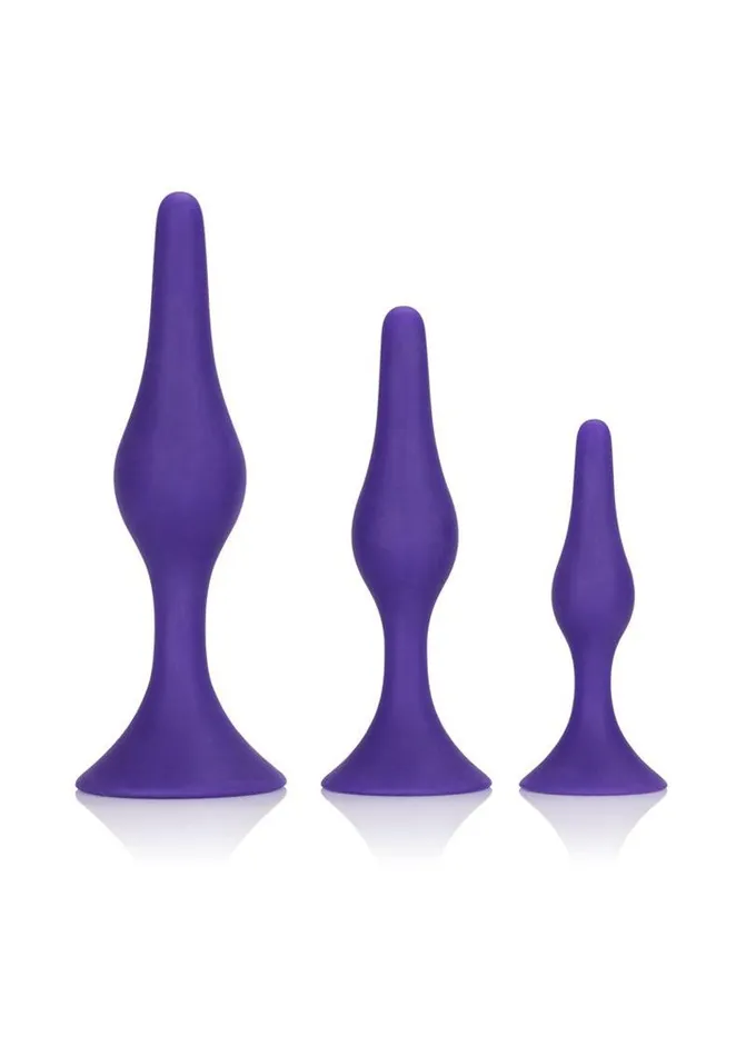 Booty Call Booty Trainer Starter Kit Silicone Anal Plugs 3 Assorted Sizes Purple Booty Call Anal