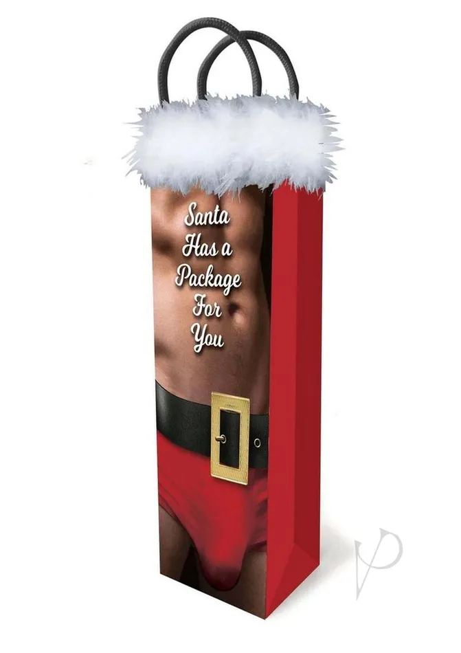 Dildos Puzzles And Gift Bags Santa Has A Big Package For You Gift Bag