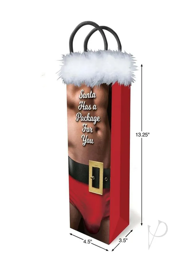 Dildos Puzzles And Gift Bags Santa Has A Big Package For You Gift Bag Dildos Puzzles And Gift Bags Santa Has A Big Package For You Gift Bag