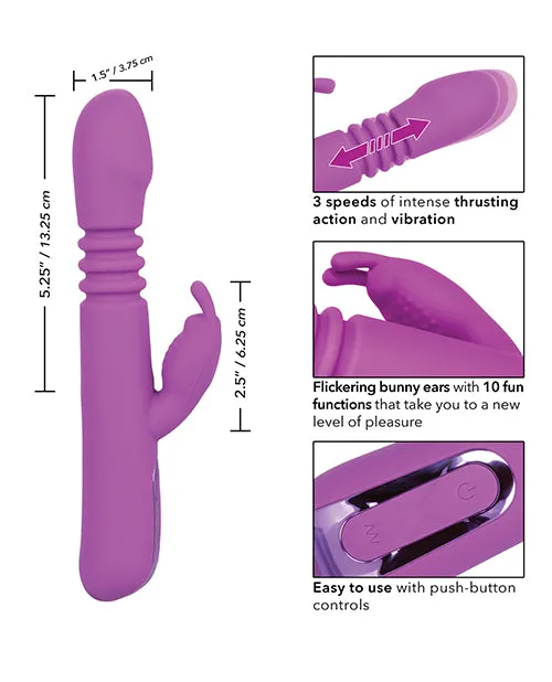 Jack Rabbit Vibrators Jack Rabbit Elite Thrusting Rabbit Silicone Rechargeable Rabbit Vibrator Purple Jack Rabbit Vibrators Jack Rabbit Elite Thrusting Rabbit Silicone Rechargeable Rabbit Vibrator Purple