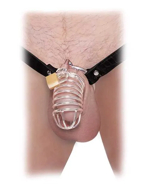 Male Sex Toys Fetish Fantasy Extreme Fetish Fantasy Extreme Chastity Belt Steel Cock Cage with Lock Silver