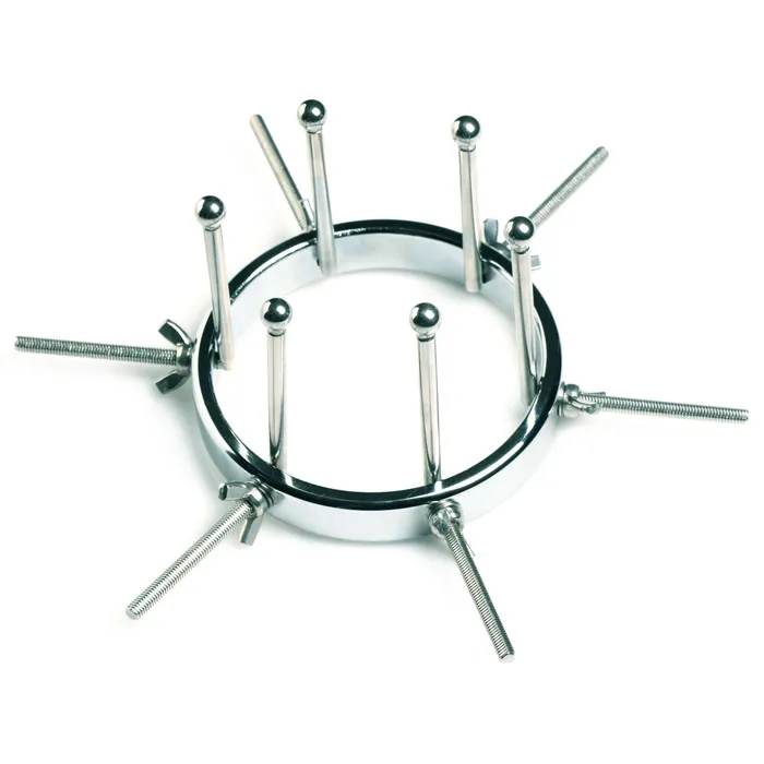 Master Series Anal Oculus Stainless Steel Anal Explorer