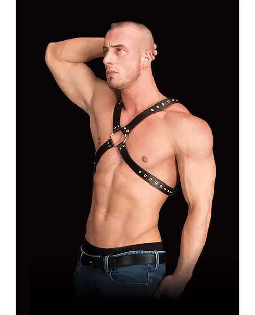Ouch Anal Shots Ouch Adonis High Halter Black Ouch Anal Shots Ouch Adonis High Halter Black