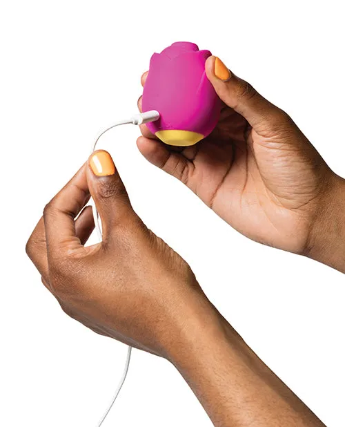 Romp Rose Rechargeable Silicone Air Clitoral Stimulator Pink Romp Female Sex Toys