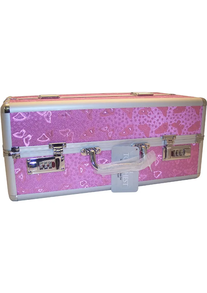 Vibrators Powerbullet Lockable Vibrator Case Large Pink
